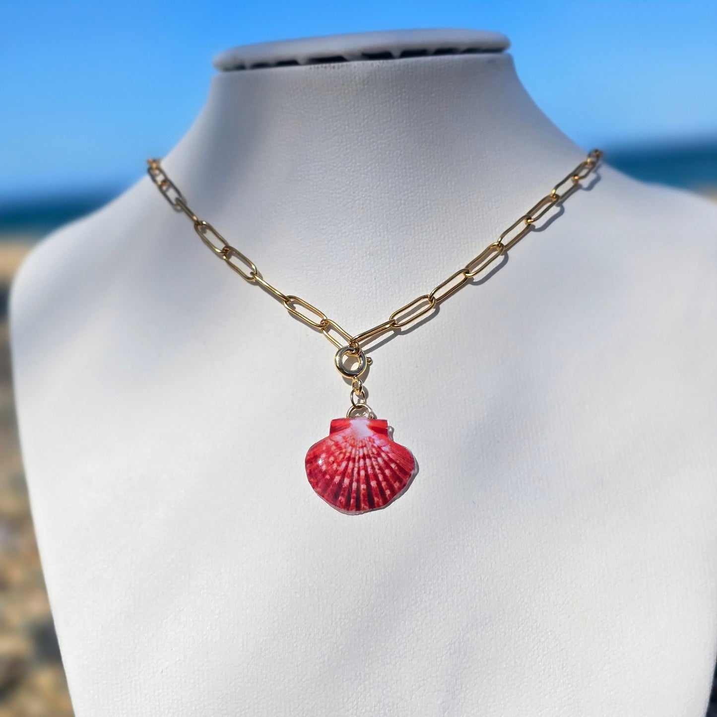 πͺππππ πͺπππππ πͺππππ