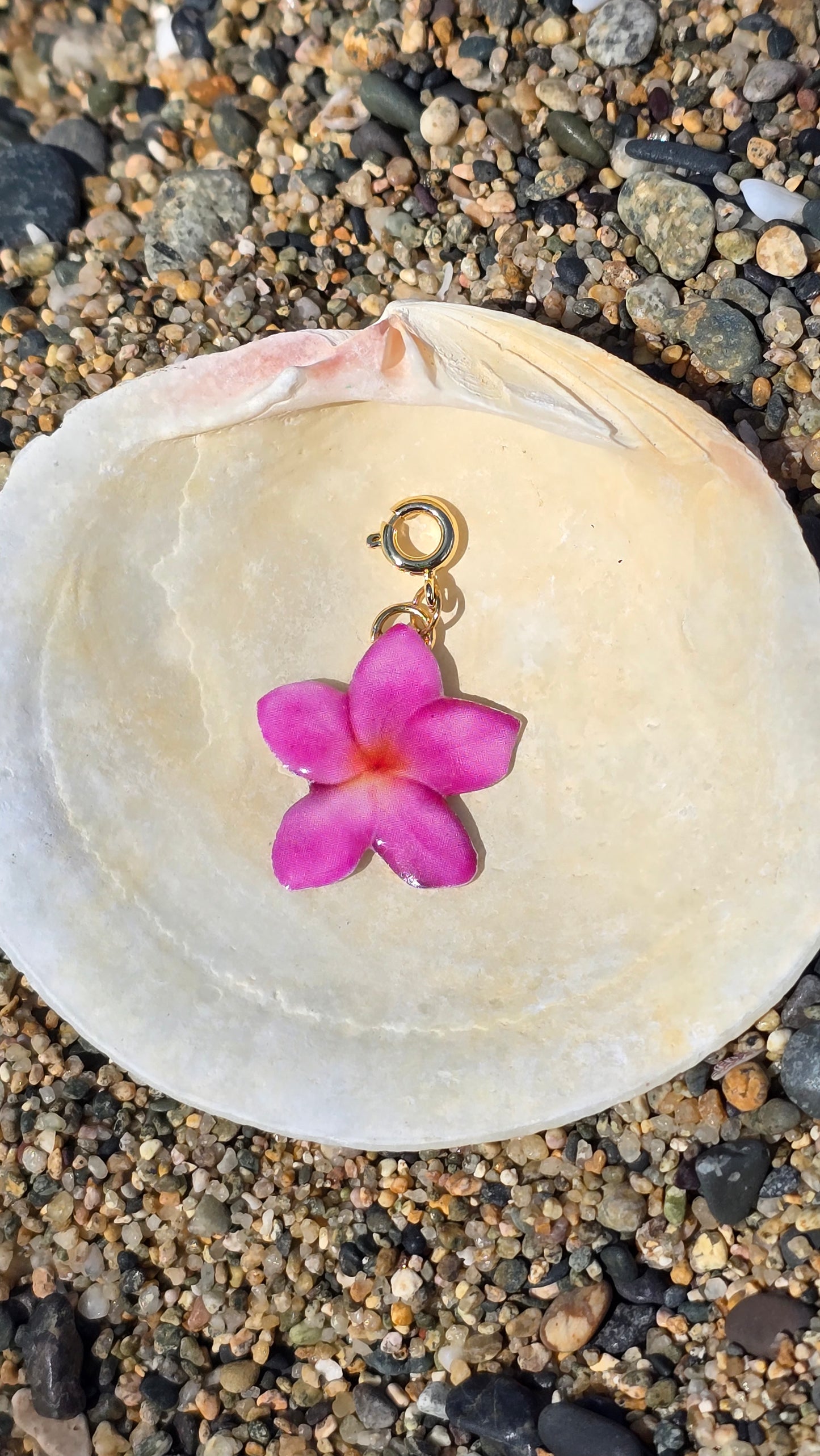 ππππ ππππππ