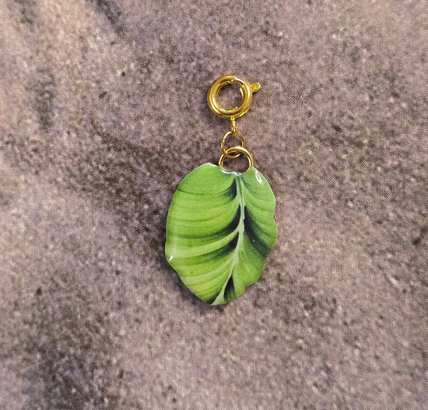 πͺππππ ππππ π
ππ π·ππππππ