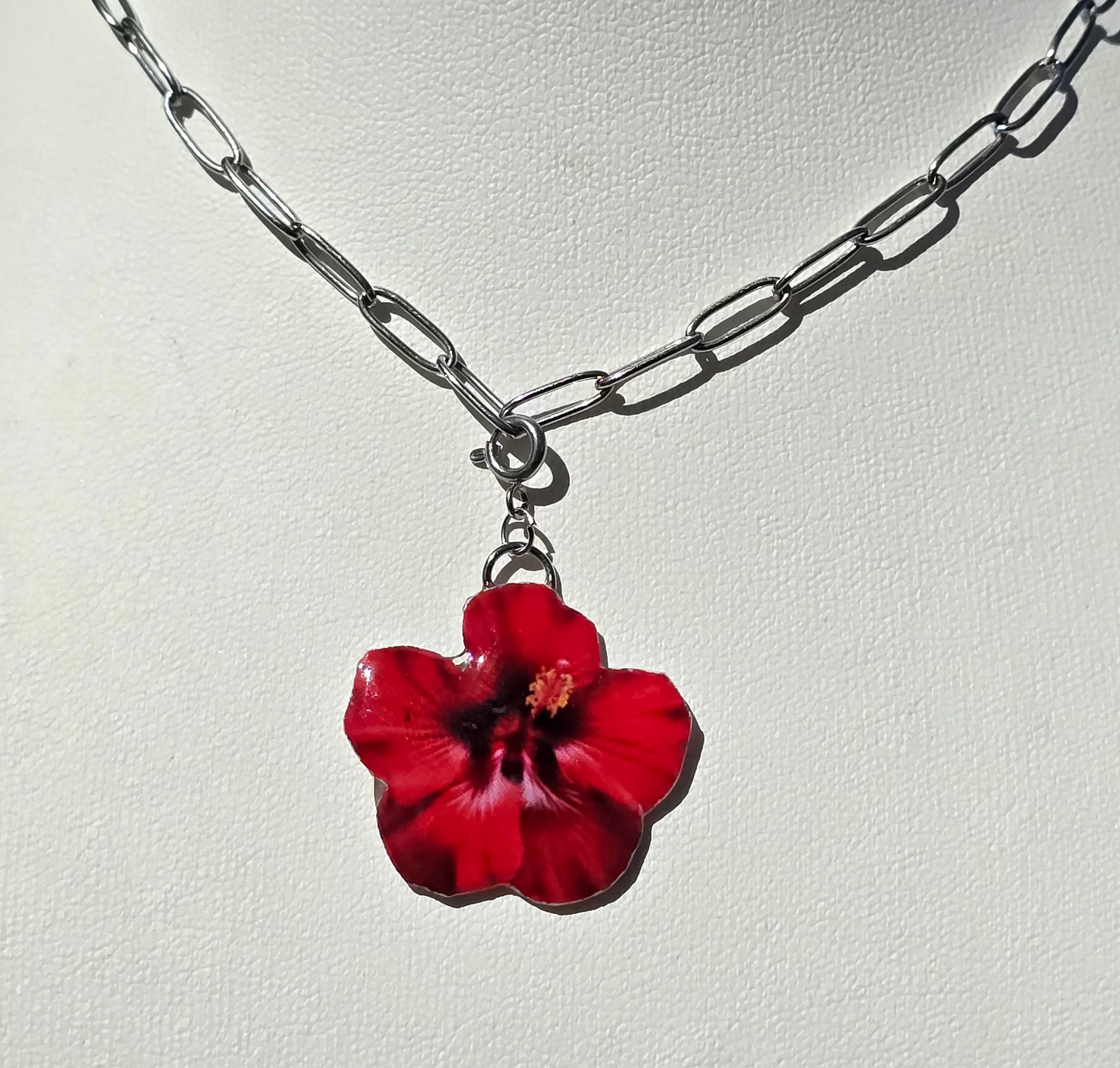 πͺππππ π¨ππππππ ππππ