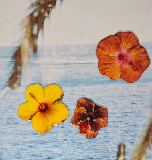 ¿Que es un victo-charms?