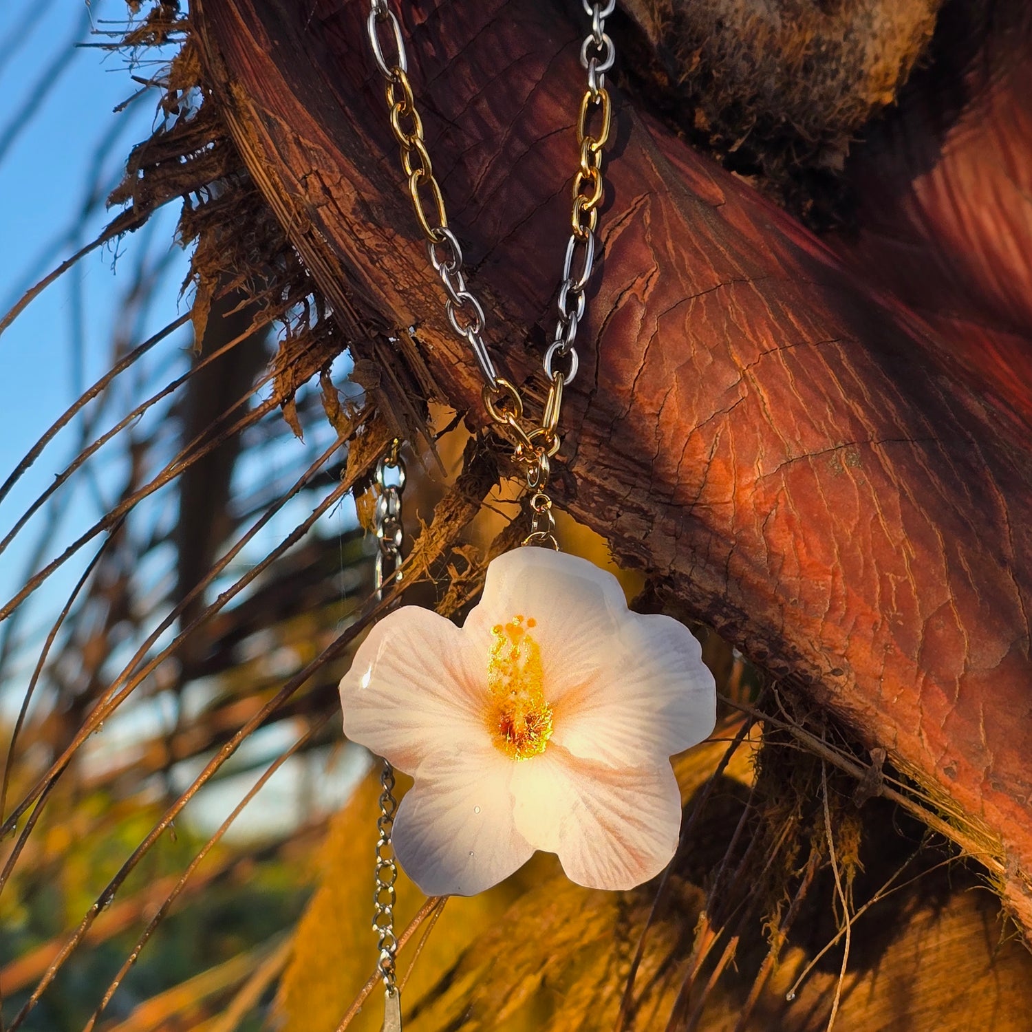 𝑭𝒍𝒐𝒓𝒆 𝑼𝒏𝒊𝒄𝒂𝒔 · 𝑬𝒅𝒊𝒄𝒊𝒐𝒏  𝑰𝒓𝒓𝒆𝒑𝒆𝒕𝒊𝒃𝒍𝒆