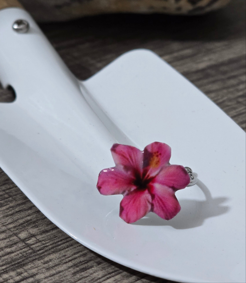𝑺𝒐𝒓𝒕𝒊𝒋𝒂 𝑹𝒖𝒃𝒐𝒓 𝑻𝒓𝒐𝒑𝒊𝒄𝒂𝒍🌸