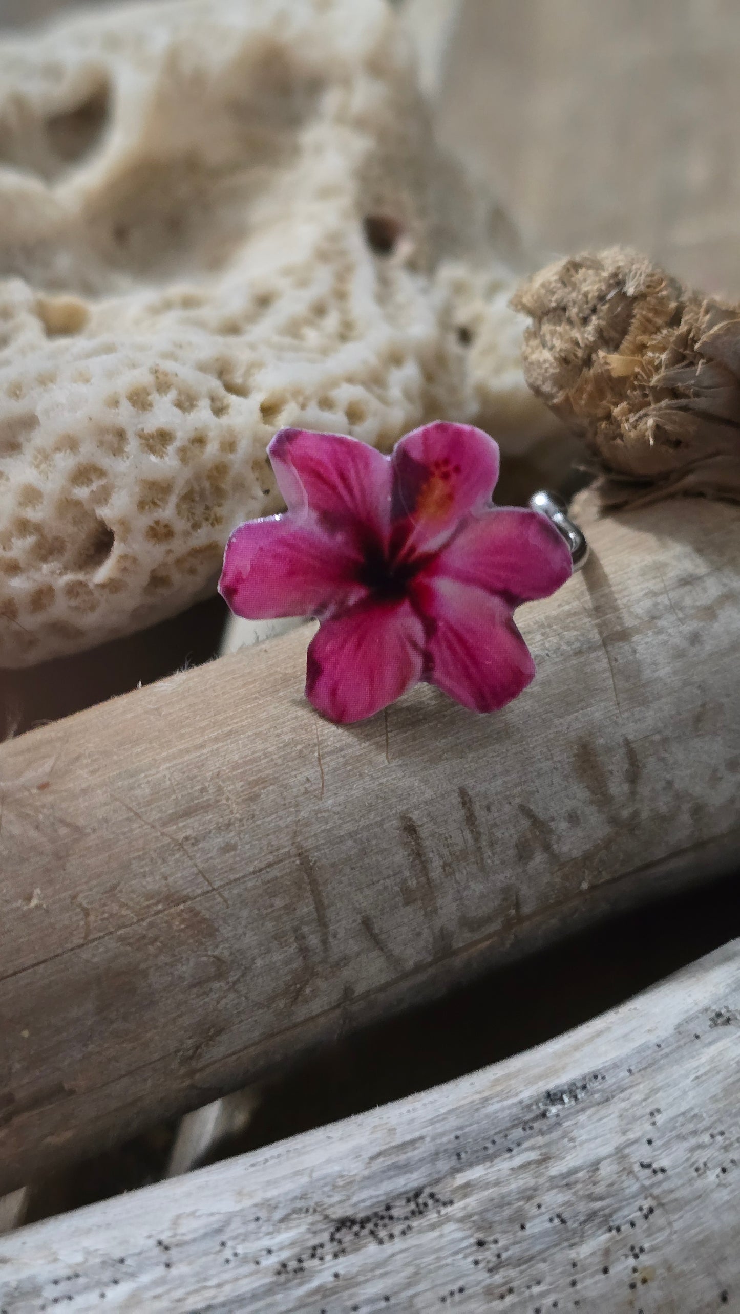𝑺𝒐𝒓𝒕𝒊𝒋𝒂 𝑹𝒖𝒃𝒐𝒓 𝑻𝒓𝒐𝒑𝒊𝒄𝒂𝒍🌸
