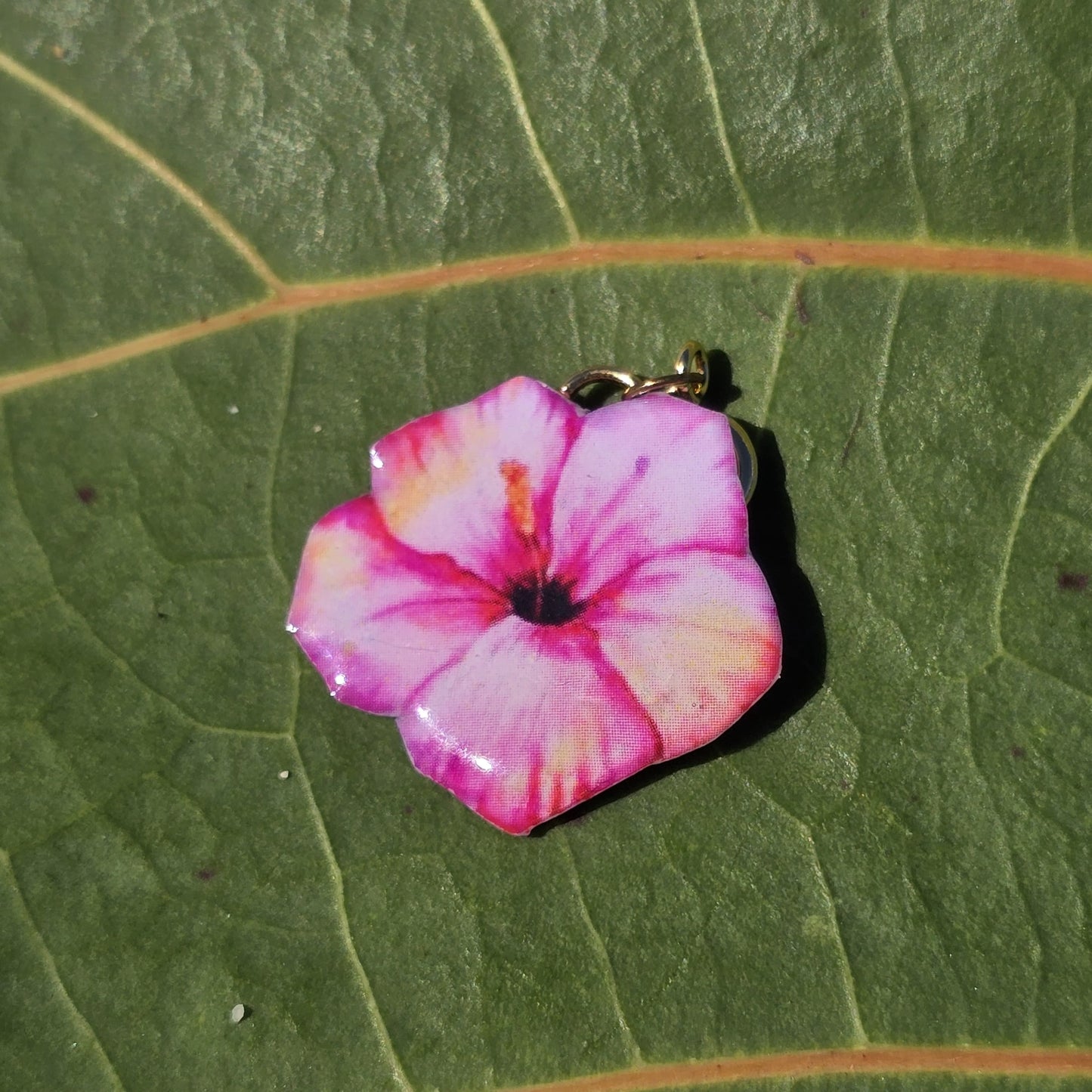 𝑪𝒉𝒂𝒓𝒎 𝑷𝒊𝒏𝒌 𝑺𝒖𝒏𝒔𝒆𝒕