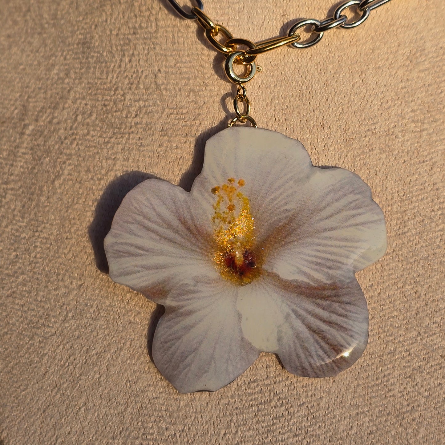 𝑪𝒉𝒂𝒓𝒎𝒔 𝑯𝒊𝒃𝒊𝒔𝒄𝒖𝒔 𝑩𝒍𝒂𝒏𝒄𝒐