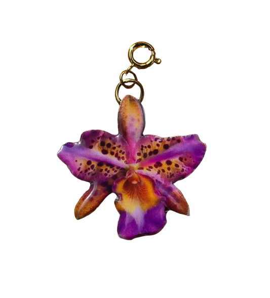 𝑪𝒉𝒂𝒓𝒎 𝑶𝒓𝒒𝒖𝒊𝒅𝒆𝒂 𝑱𝒂𝒈𝒖𝒂𝒓