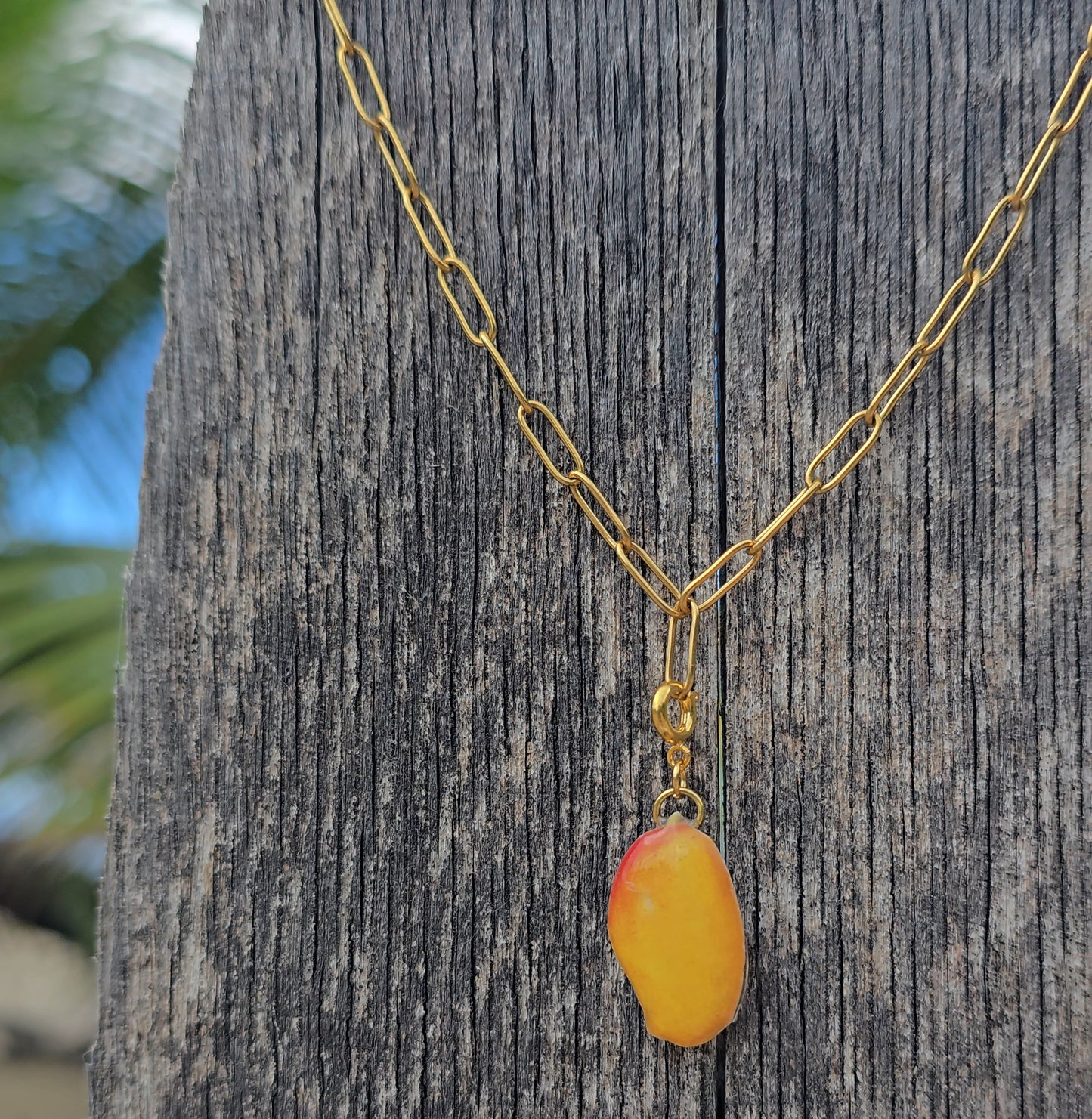 𝑪𝒂𝒅𝒆𝒏𝒂 𝑨𝒓𝒆𝒏𝒂 𝑫𝒐𝒓𝒂𝒅𝒂