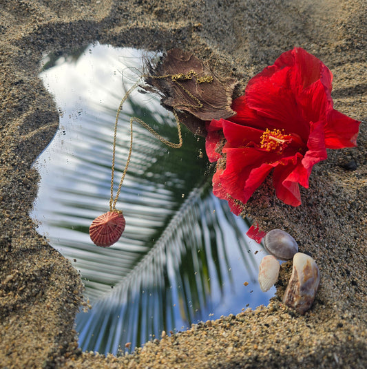 Cadena Hibiscus Fisurella