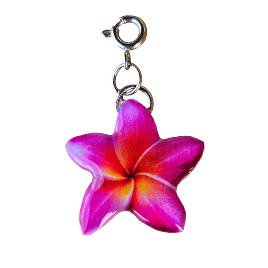 𝑪𝒉𝒂𝒓𝒎 𝑷𝒍𝒖𝒎𝒆𝒓𝒊𝒂