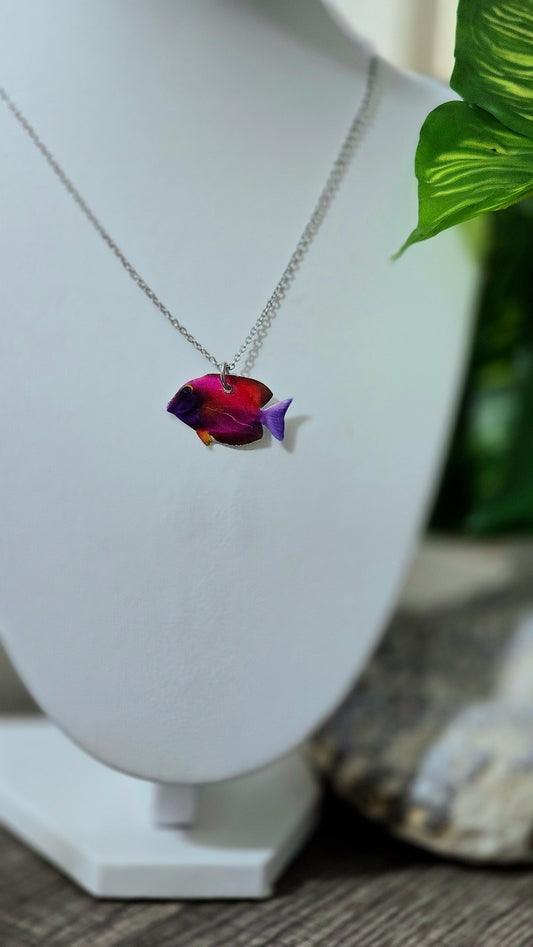𝑪𝒂𝒅𝒆𝒏𝒂 𝑷𝒆𝒛 𝑯𝒊𝒃𝒊𝒔𝒄𝒖𝒔🐟