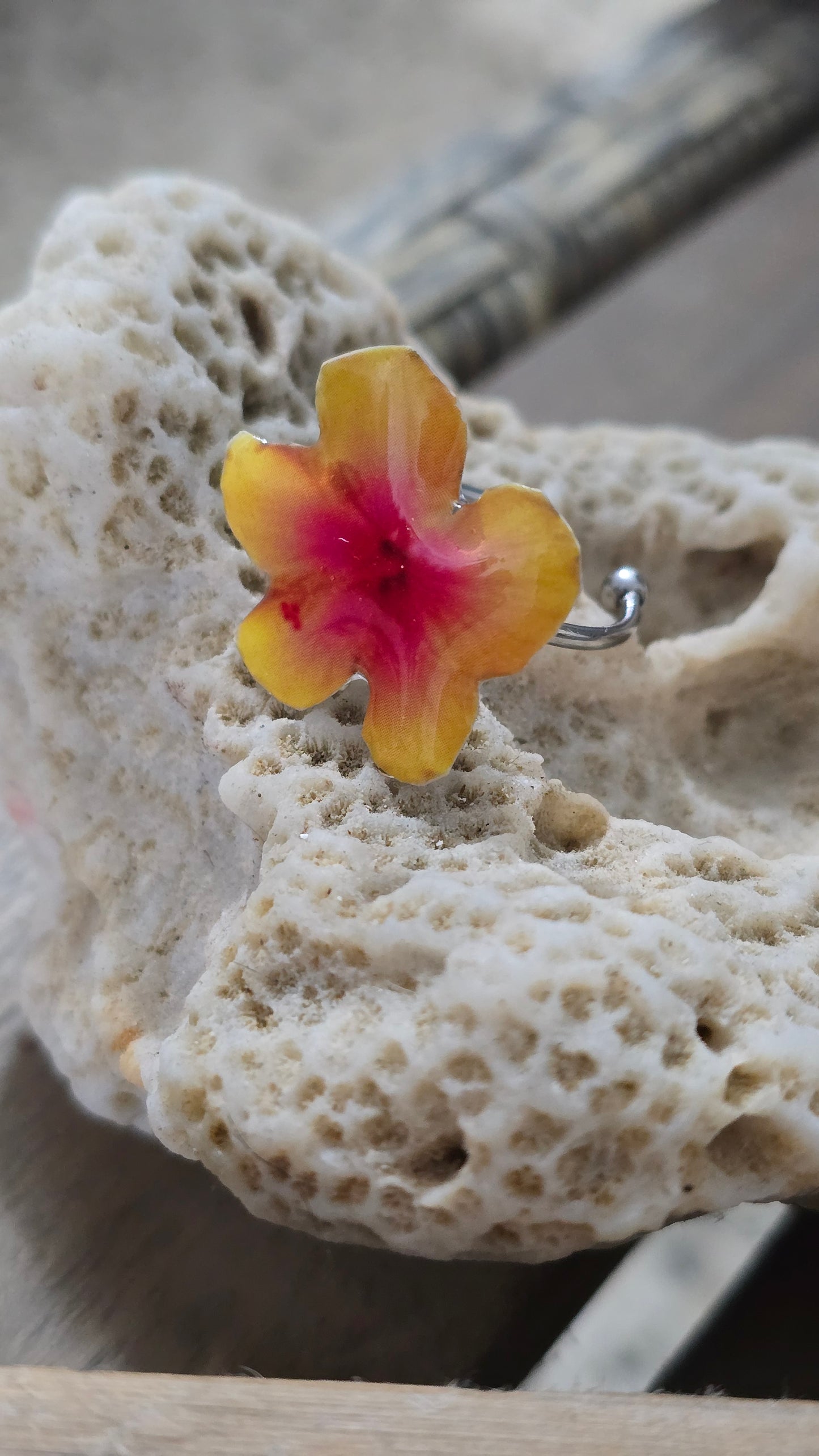 𝑺𝒐𝒓𝒕𝒊𝒋𝒂 𝑭𝒍𝒐𝒓 𝑺𝒐𝒍𝒂𝒓 🏵️