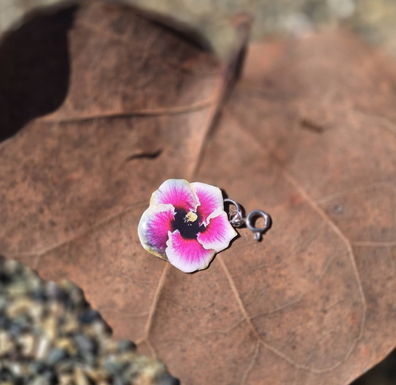 𝑪𝒉𝒂𝒓𝒎 𝑴𝒂𝒈𝒂 𝑭𝒖𝒄𝒔𝒊𝒂