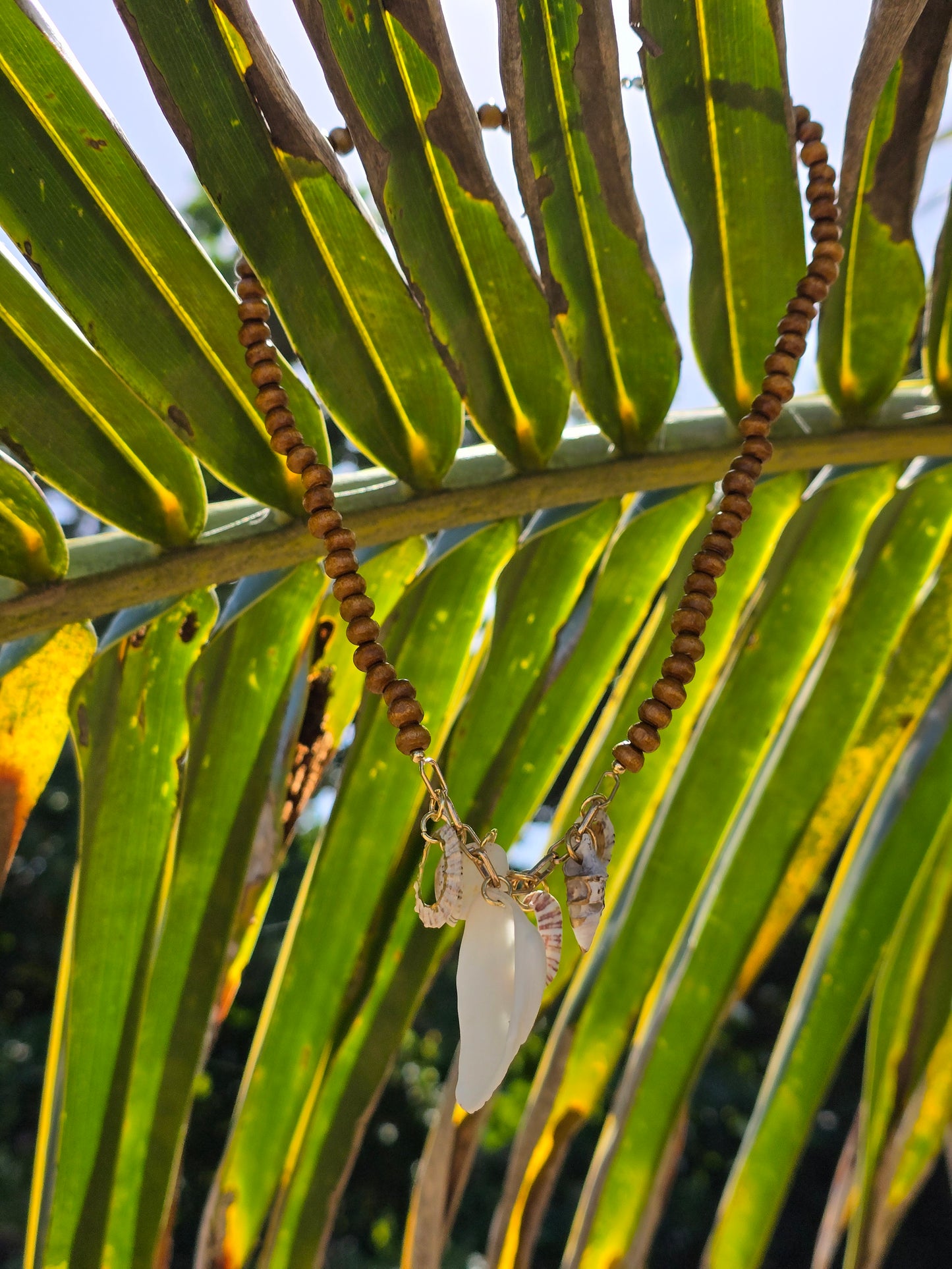 Collar Coconutshell