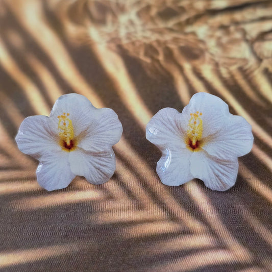 𝑨𝒓𝒆𝒕𝒆𝒔 𝑺𝒕𝒖𝒅𝒔 𝑯𝒊𝒃𝒊𝒔𝒄𝒖𝒔 𝑩𝒍𝒂𝒏𝒄𝒐