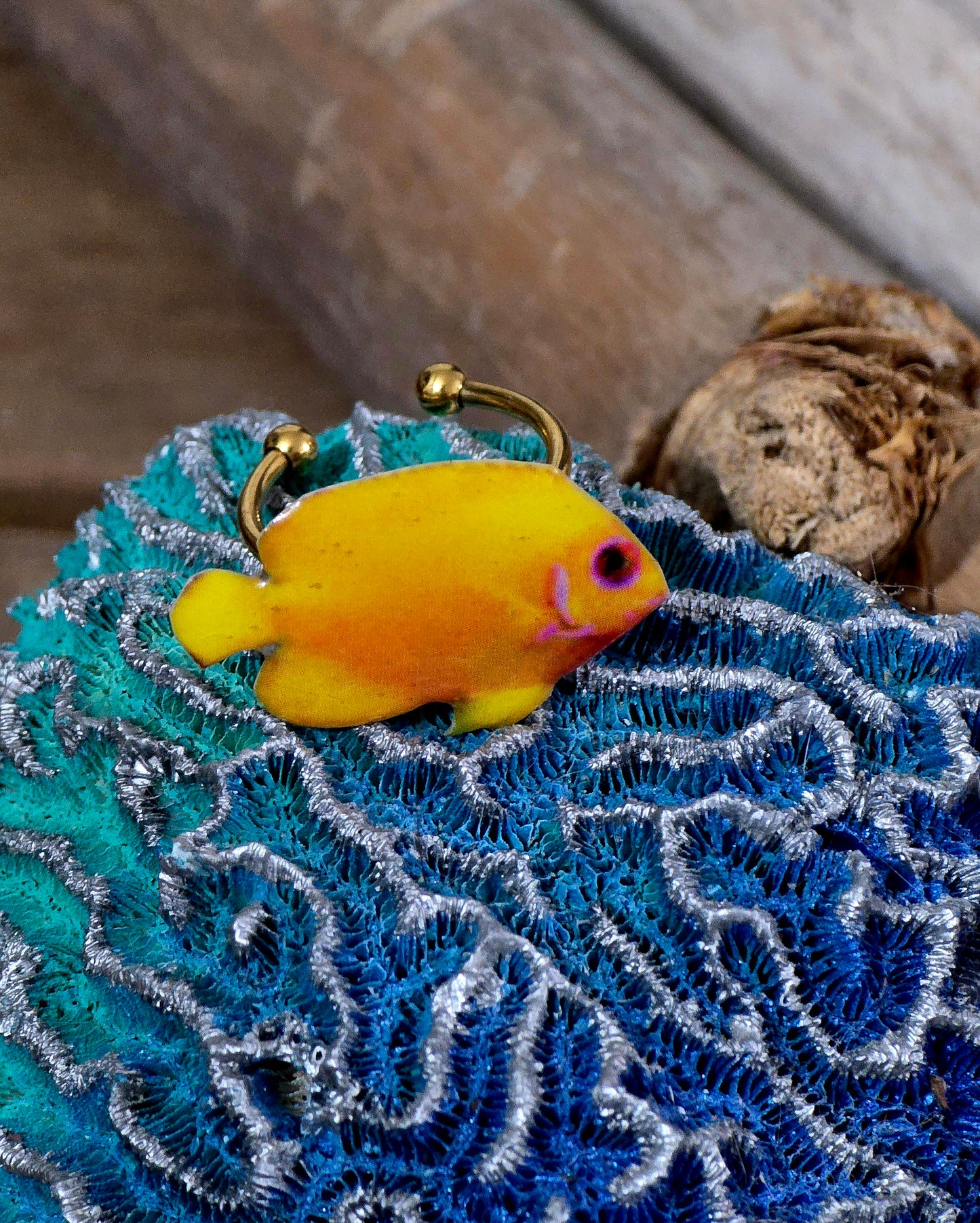 𝑺𝒐𝒓𝒕𝒊𝒋𝒂 𝑷𝒆𝒛 𝑺𝒐𝒍 🐠