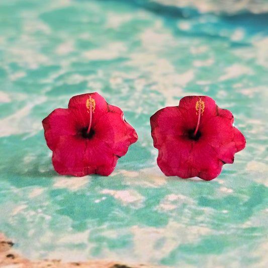 𝑨𝒓𝒆𝒕𝒆𝒔 𝑺𝒕𝒖𝒅𝒔 𝑪𝒂𝒓𝒎𝒆𝒔𝒊