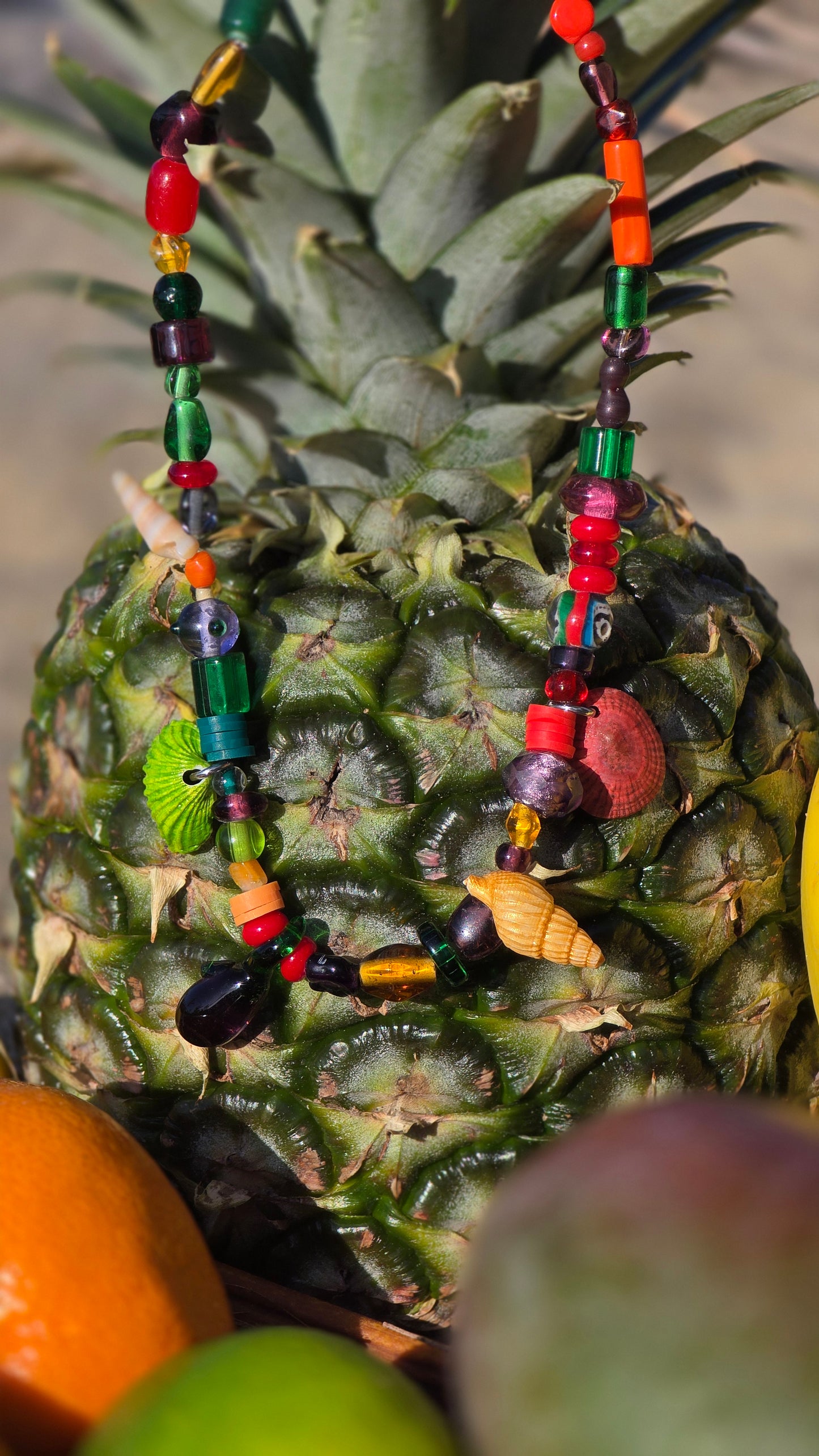 𝐕𝐢𝐛𝐫𝐚 𝐓𝐫𝐨𝐩𝐢𝐜𝐚𝐥🌺🥭