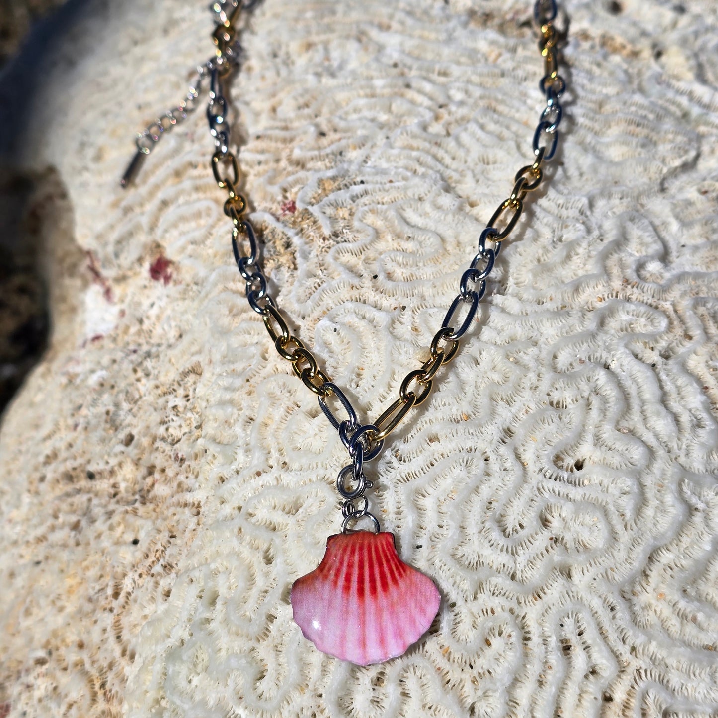 𝑪𝒉𝒂𝒓𝒎 𝑪𝒐𝒏𝒄𝒉𝒂 𝑹𝒐𝒔𝒂𝒅𝒂