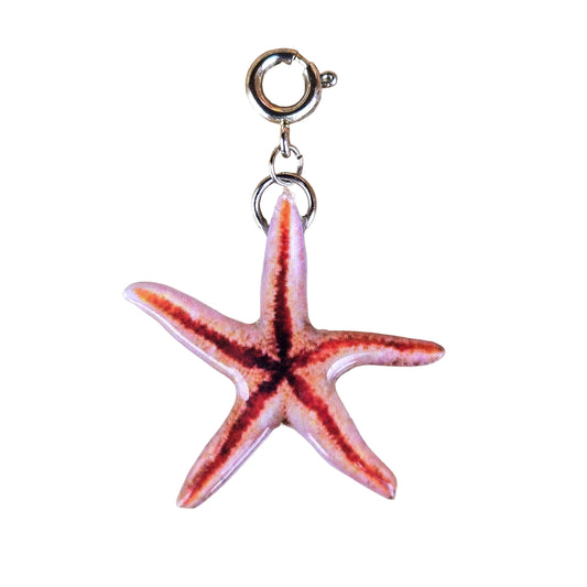 𝑪𝒉𝒂𝒓𝒎 𝑬𝒔𝒕𝒓𝒆𝒍𝒍𝒂 𝑶𝒄𝒉𝒓𝒆