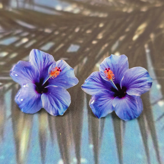 𝑨𝒓𝒆𝒕𝒆𝒔 𝑺𝒕𝒖𝒅𝒔 𝑨𝒛𝒖𝒍 𝑽𝒊𝒐𝒍𝒆𝒕𝒂