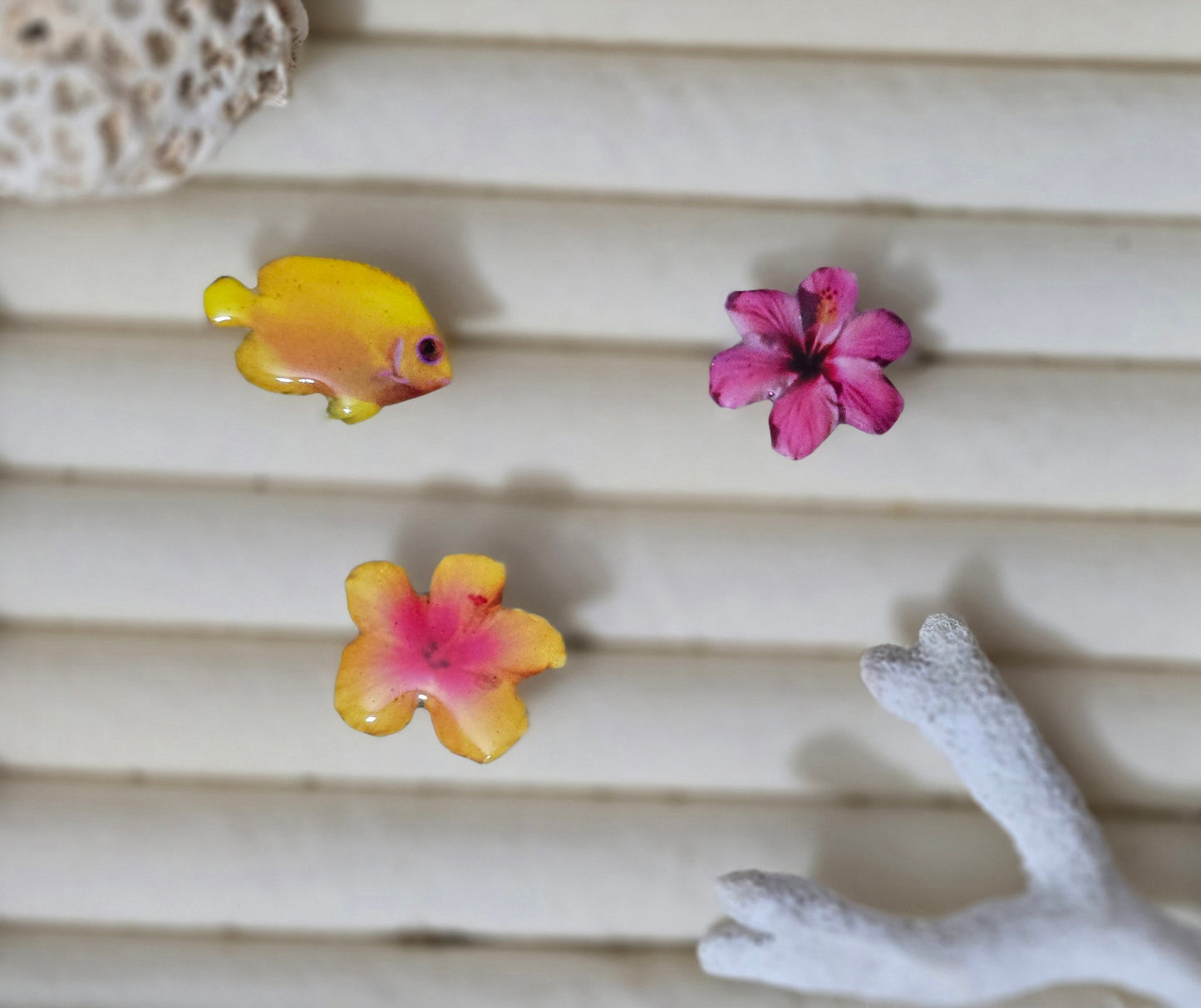 𝑺𝒐𝒓𝒕𝒊𝒋𝒂 𝑷𝒆𝒛 𝑺𝒐𝒍 🐠