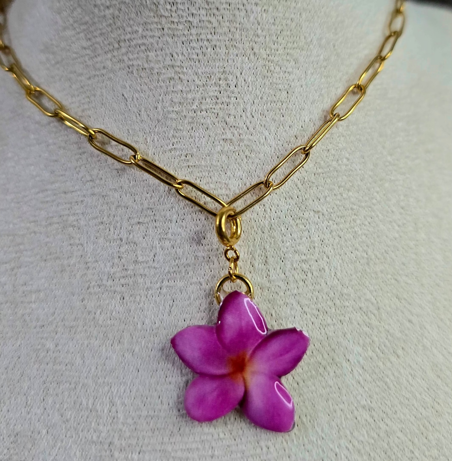 𝑭𝒍𝒐𝒓 𝑭𝒖𝒄𝒔𝒊𝒂