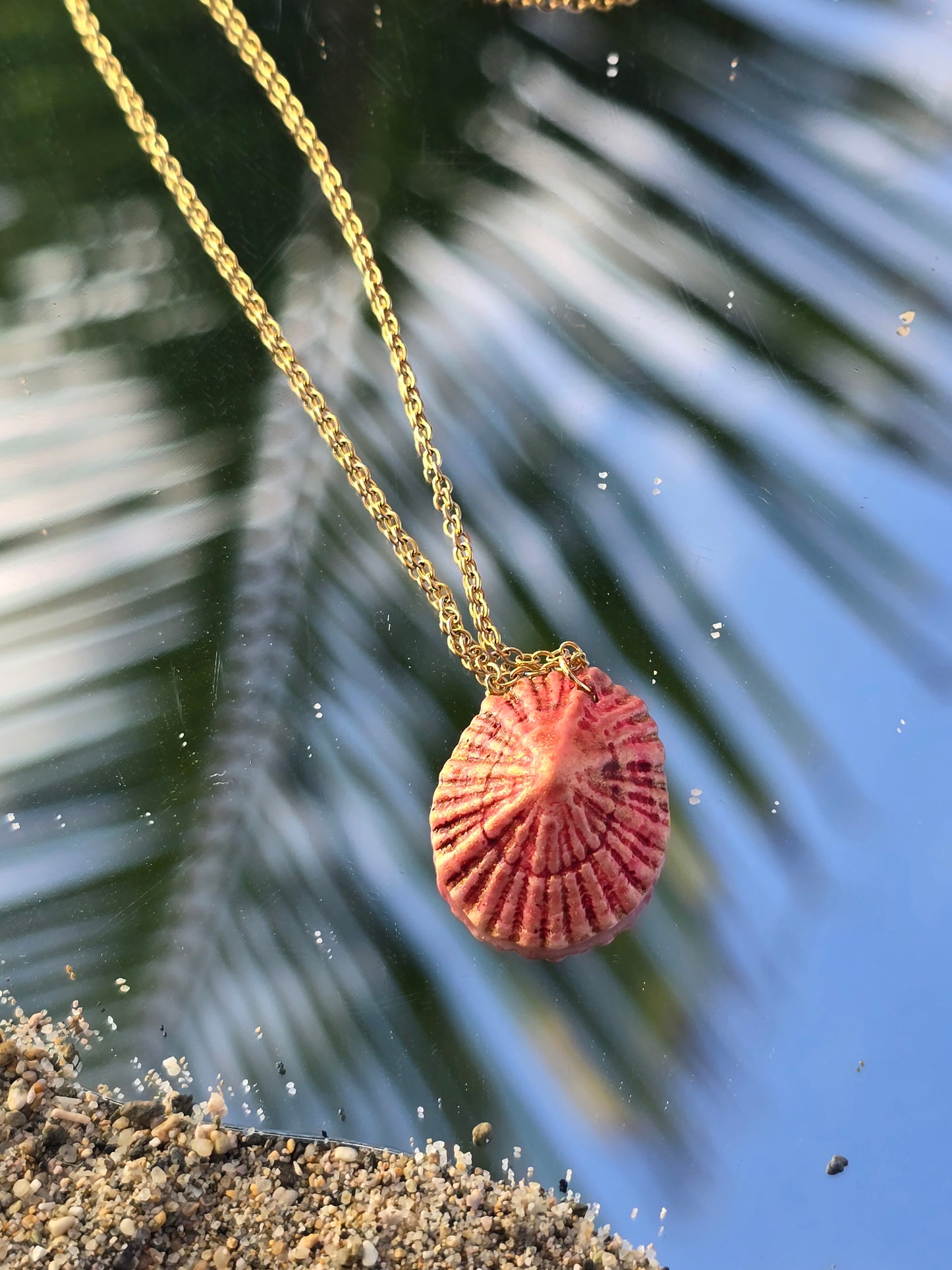 Cadena Hibiscus Fisurella