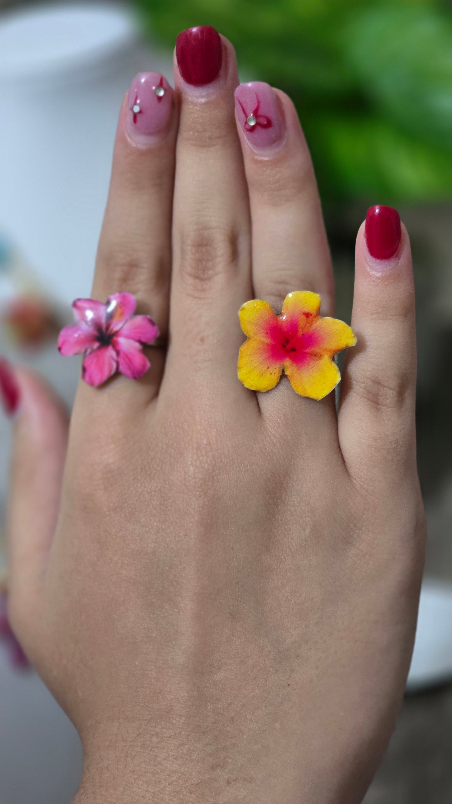 𝑺𝒐𝒓𝒕𝒊𝒋𝒂 𝑭𝒍𝒐𝒓 𝑺𝒐𝒍𝒂𝒓 🏵️
