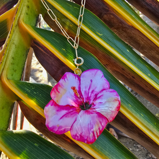 𝑪𝒉𝒂𝒓𝒎 𝑨𝒕𝒂𝒓𝒅𝒆𝒄𝒆𝒓 𝑹𝒐𝒔𝒂