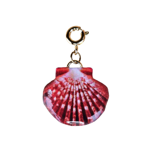 𝑪𝒉𝒂𝒓𝒎 𝑪𝒐𝒏𝒄𝒉𝒂 𝑪𝒐𝒓𝒂𝒍