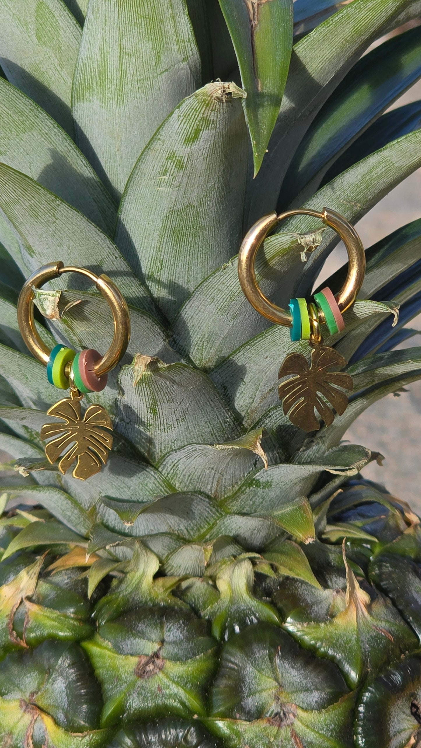 𝐀𝐫𝐞𝐭𝐞𝐬 𝐏𝐚𝐥𝐦𝐢𝐭𝐚🌴