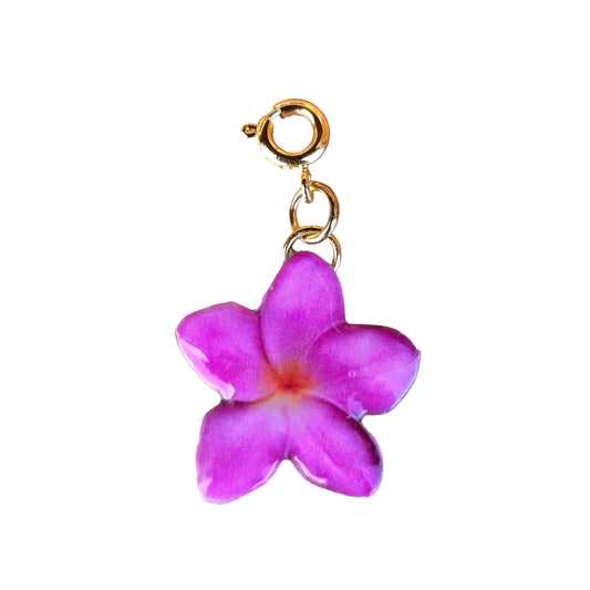 𝑭𝒍𝒐𝒓 𝑭𝒖𝒄𝒔𝒊𝒂