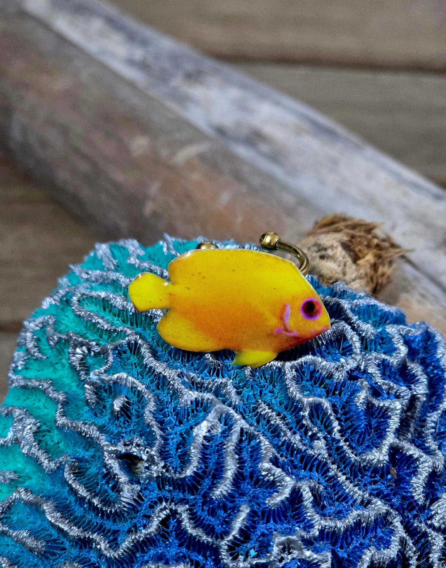 𝑺𝒐𝒓𝒕𝒊𝒋𝒂 𝑷𝒆𝒛 𝑺𝒐𝒍 🐠