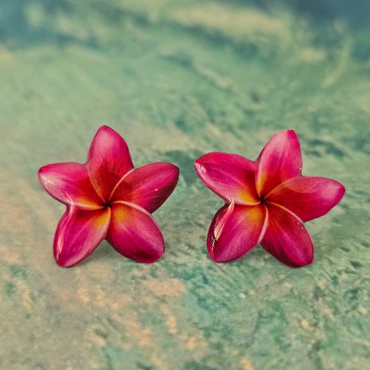 𝑨𝒓𝒆𝒕𝒆𝒔 𝑺𝒕𝒖𝒅𝒔 𝑴𝒂𝒈𝒆𝒏𝒕𝒂