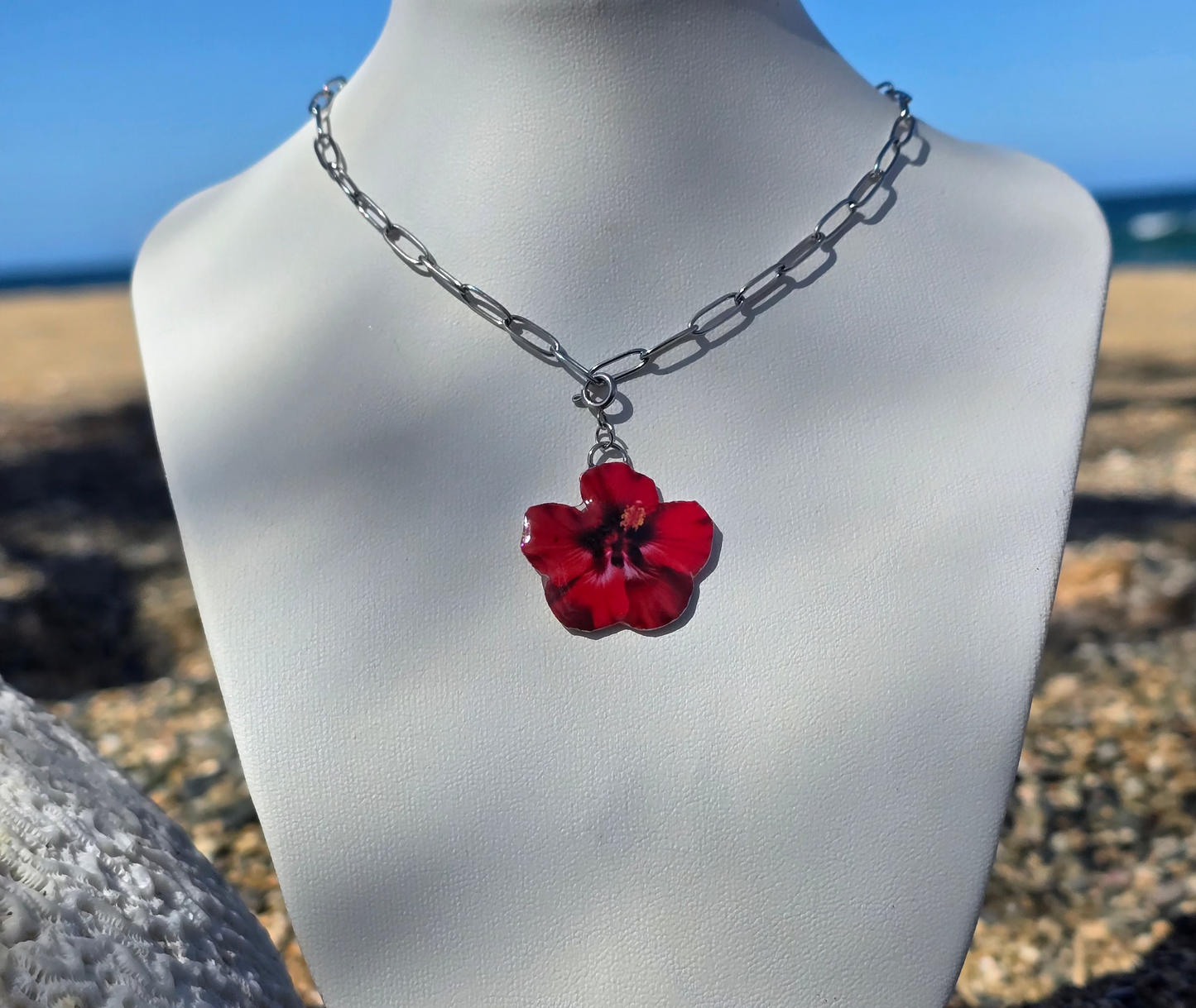 𝑪𝒉𝒂𝒓𝒎 𝑨𝒎𝒂𝒑𝒐𝒍𝒂 𝒓𝒐𝒋𝒂