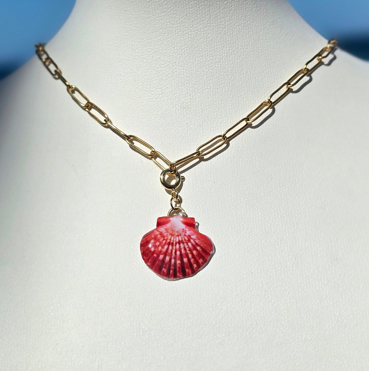 𝑪𝒉𝒂𝒓𝒎 𝑪𝒐𝒏𝒄𝒉𝒂 𝑪𝒐𝒓𝒂𝒍