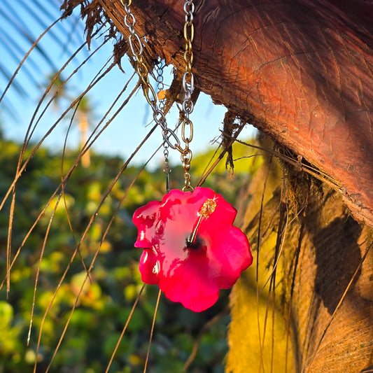 𝑪𝒉𝒂𝒓𝒎 𝑨𝒎𝒂𝒑𝒐𝒍𝒂 𝑪𝒂𝒓𝒎𝒆𝒔𝒊