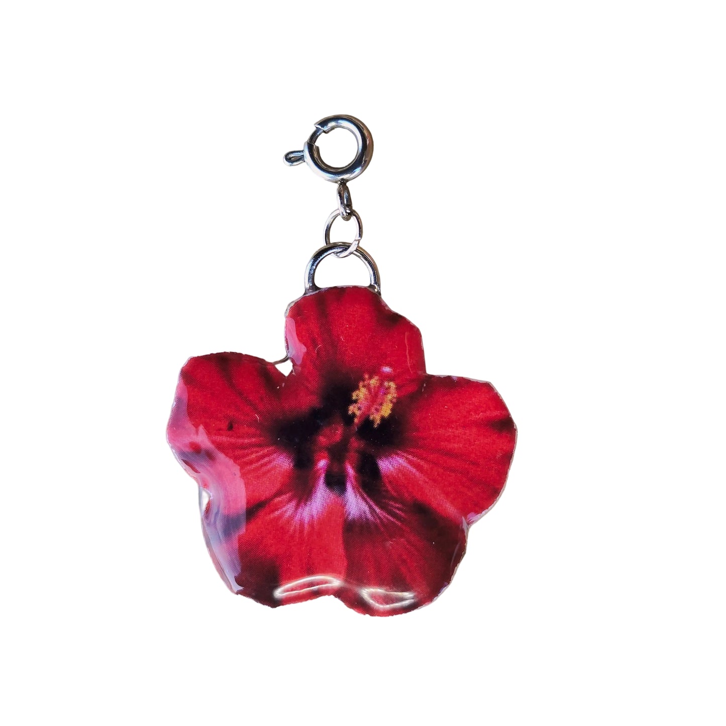 𝑪𝒉𝒂𝒓𝒎 𝑨𝒎𝒂𝒑𝒐𝒍𝒂 𝒓𝒐𝒋𝒂