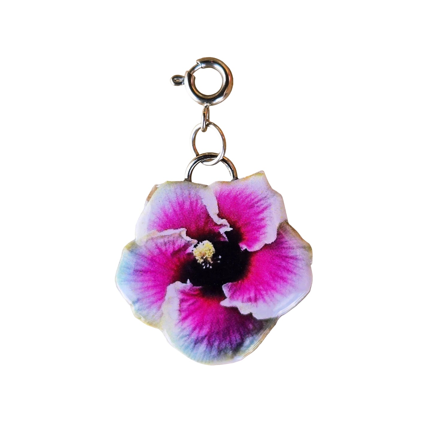 𝑪𝒉𝒂𝒓𝒎 𝑴𝒂𝒈𝒂 𝑭𝒖𝒄𝒔𝒊𝒂