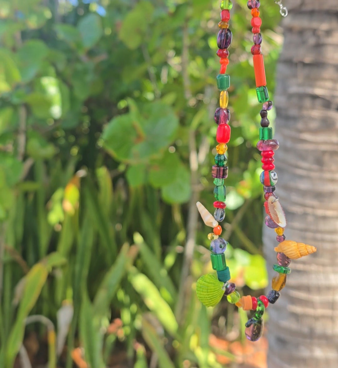 𝐕𝐢𝐛𝐫𝐚 𝐓𝐫𝐨𝐩𝐢𝐜𝐚𝐥🌺🥭