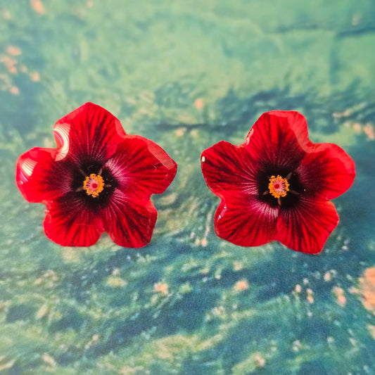 𝑨𝒓𝒆𝒕𝒆𝒔 𝑺𝒕𝒖𝒅𝒔 𝑨𝒎𝒂𝒑𝒐𝒍𝒂 𝑹𝒐𝒋𝒂