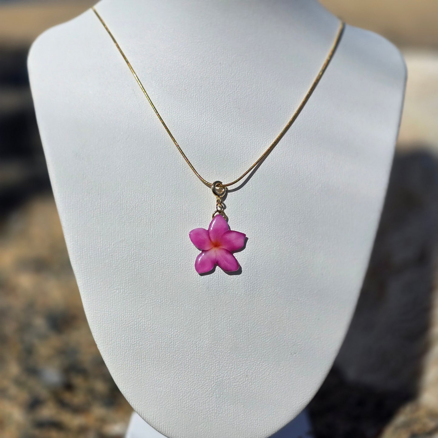 𝑭𝒍𝒐𝒓 𝑭𝒖𝒄𝒔𝒊𝒂