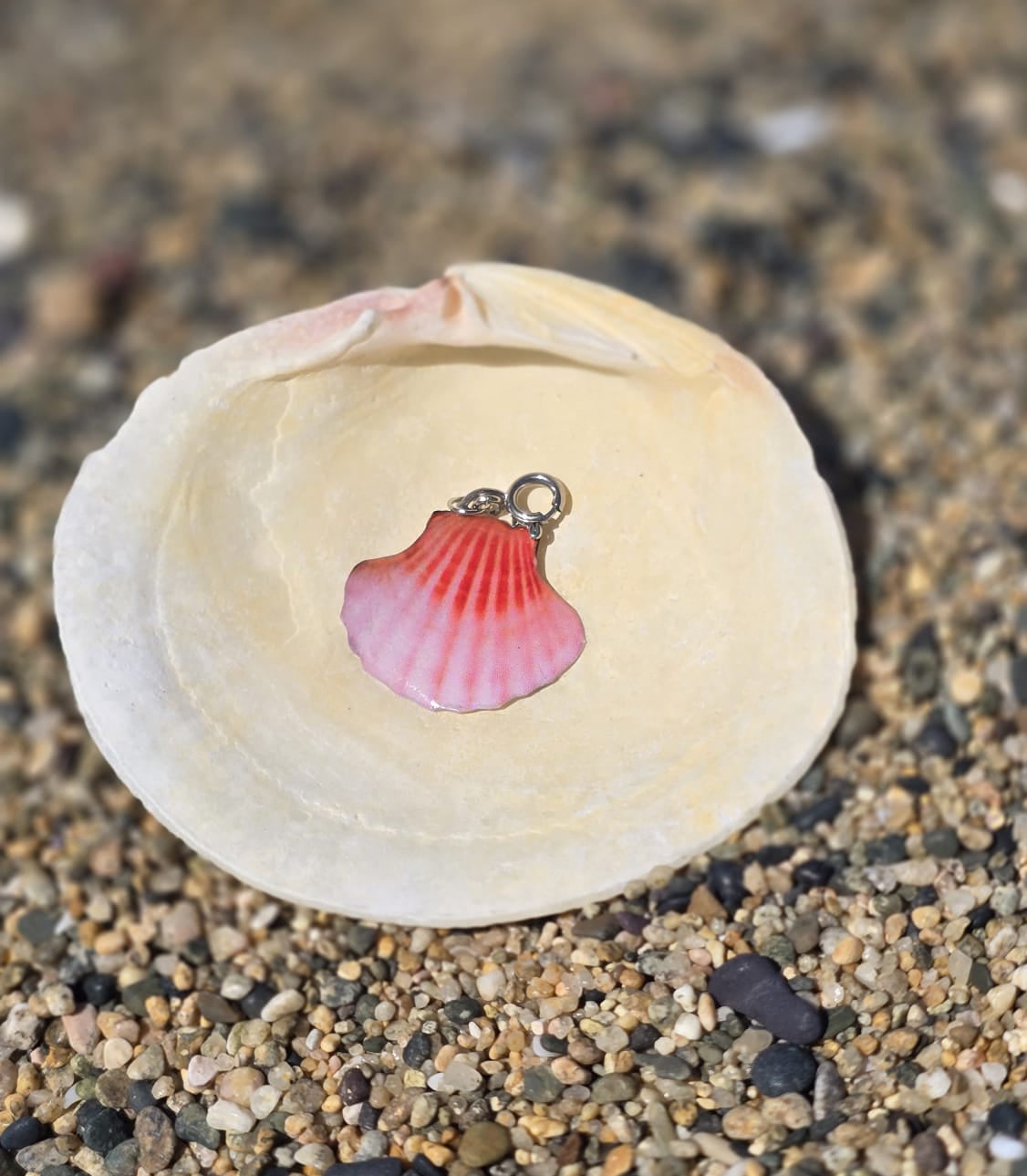 𝑪𝒉𝒂𝒓𝒎 𝑪𝒐𝒏𝒄𝒉𝒂 𝑹𝒐𝒔𝒂𝒅𝒂