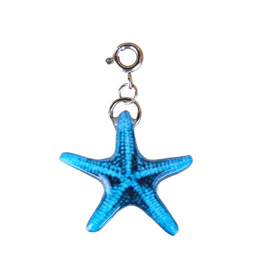 𝑪𝒉𝒂𝒓𝒎 𝑬𝒔𝒕𝒓𝒆𝒍𝒍𝒂 𝒅𝒆 𝒎𝒂𝒓 𝒂𝒛𝒖𝒍