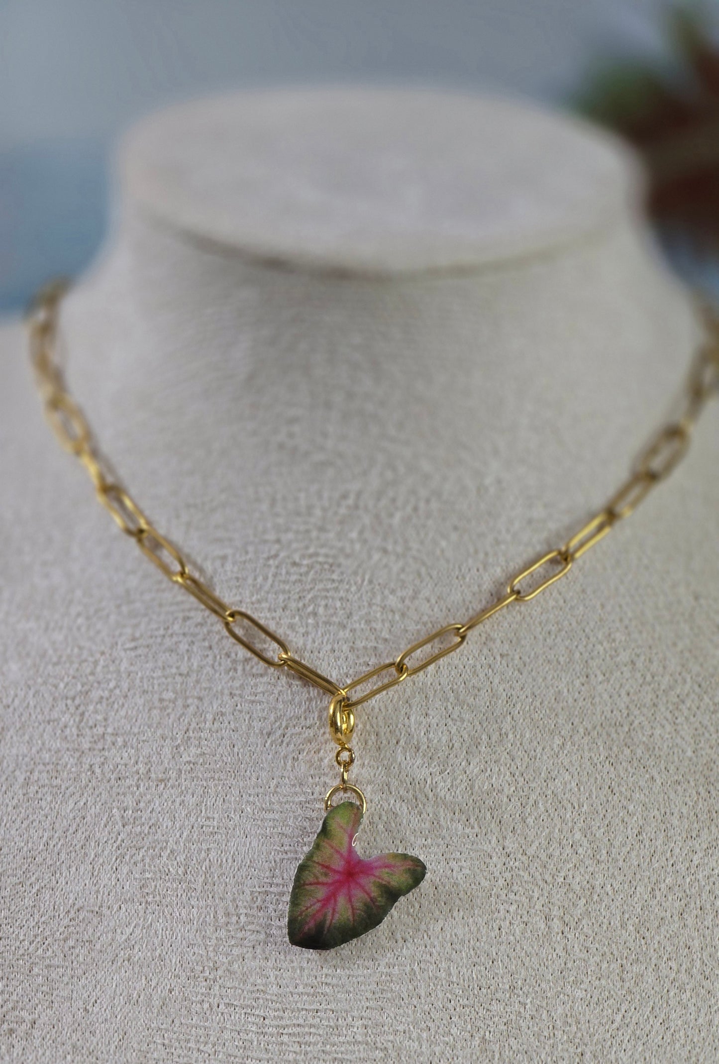 𝑪𝒉𝒂𝒓𝒎 𝑯𝒐𝒋𝒂 𝑬𝒏𝒄𝒂𝒏𝒕𝒂𝒅𝒂