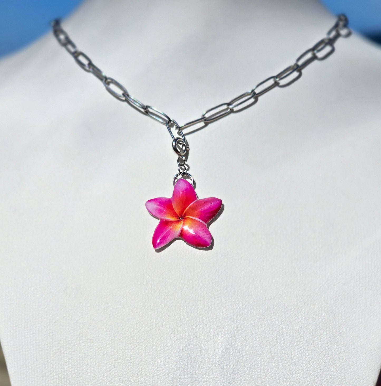 𝑪𝒉𝒂𝒓𝒎 𝑷𝒍𝒖𝒎𝒆𝒓𝒊𝒂