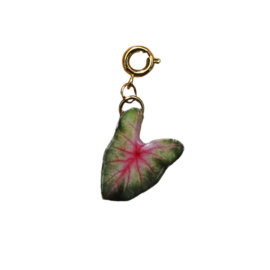 𝑪𝒉𝒂𝒓𝒎 𝑯𝒐𝒋𝒂 𝑬𝒏𝒄𝒂𝒏𝒕𝒂𝒅𝒂