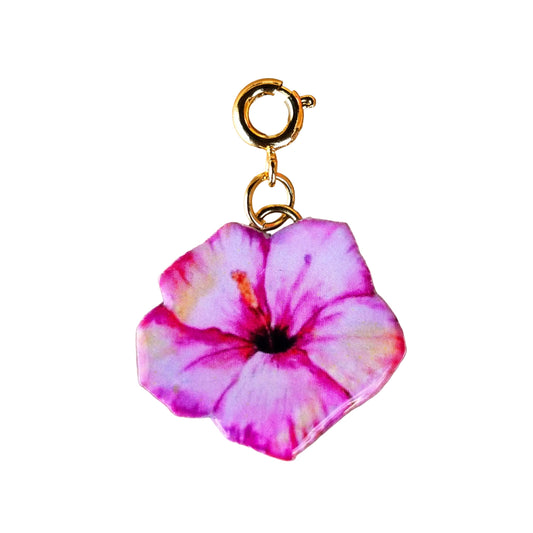 𝑪𝒉𝒂𝒓𝒎 𝑷𝒊𝒏𝒌 𝑺𝒖𝒏𝒔𝒆𝒕