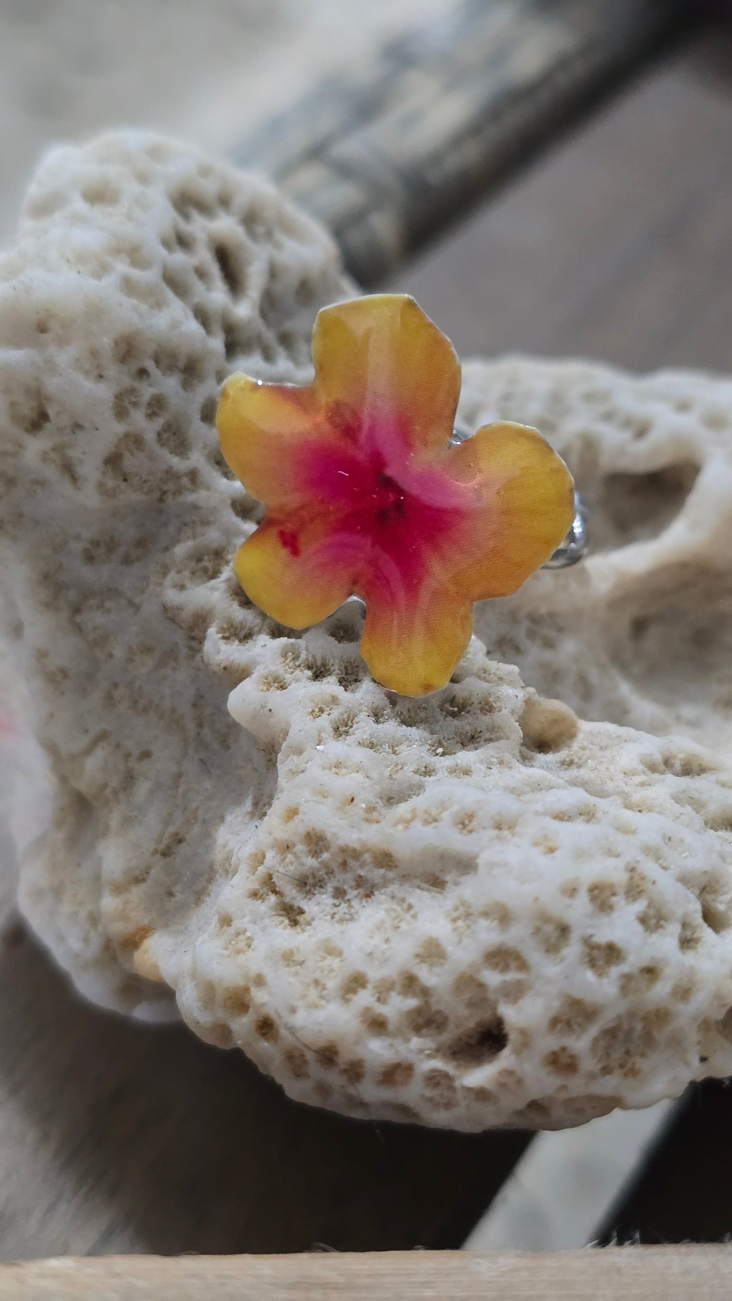 𝑺𝒐𝒓𝒕𝒊𝒋𝒂 𝑭𝒍𝒐𝒓 𝑺𝒐𝒍𝒂𝒓 🏵️